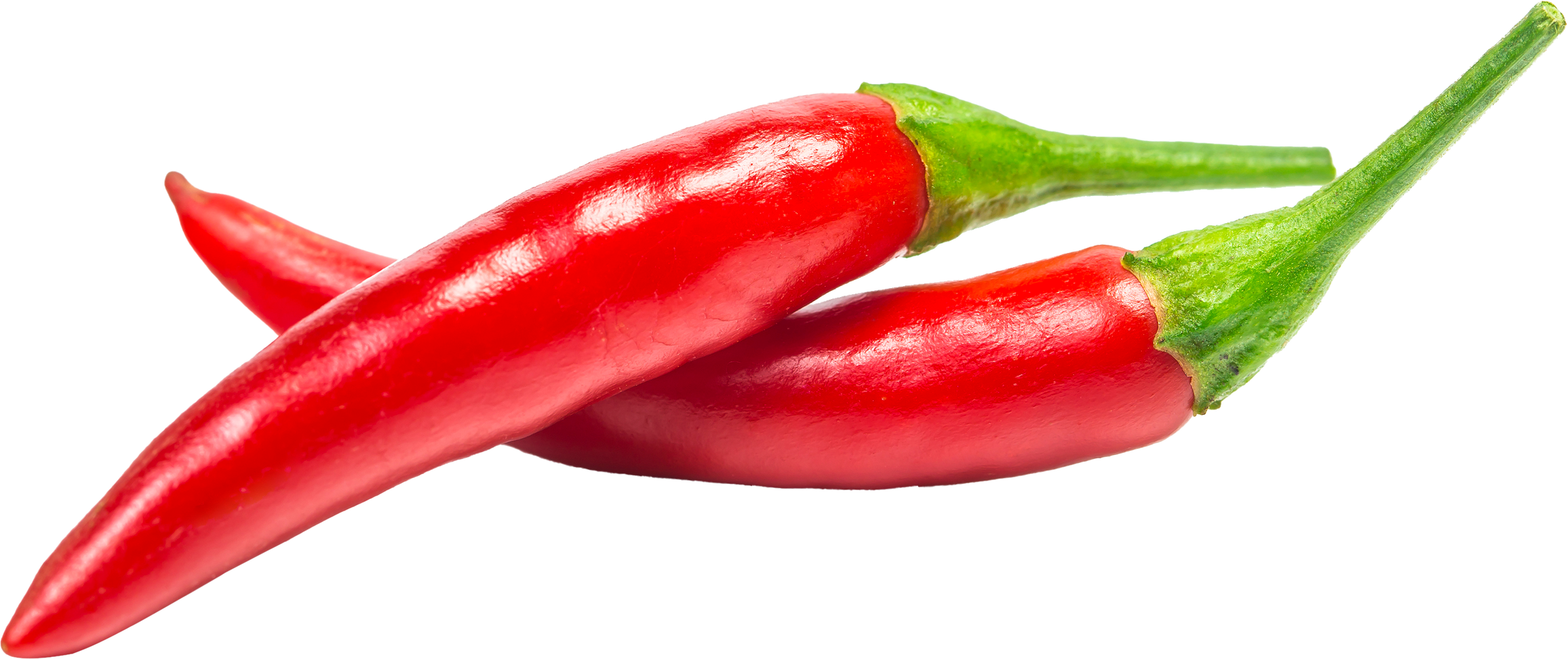 chili pepper isolated